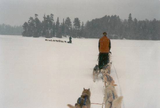 02 View from Sled.jpg